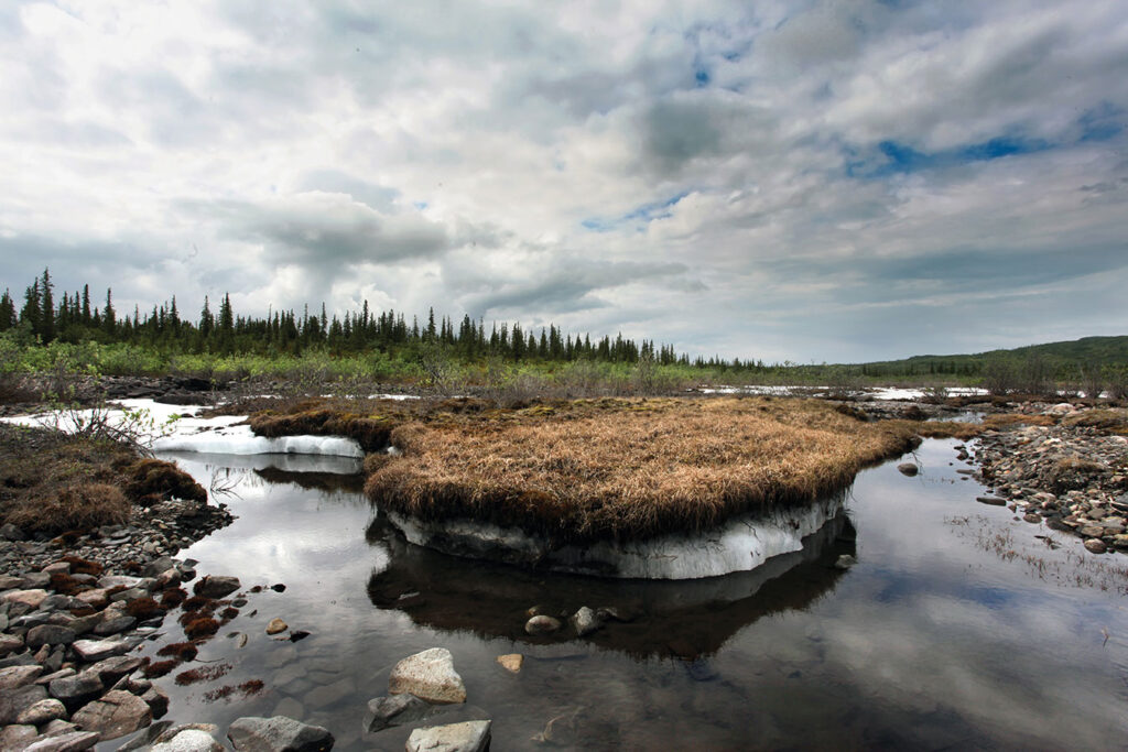 Permafrost in wintry landscape.